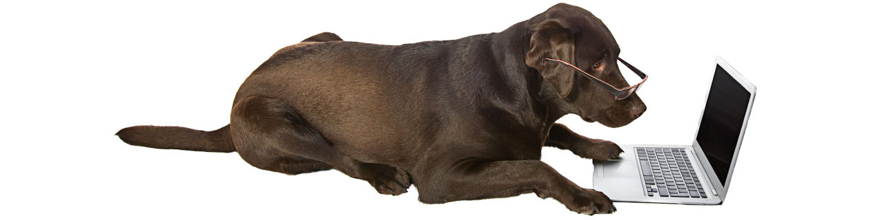 Booking accommodation