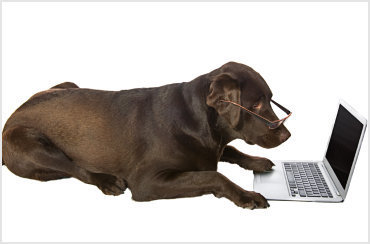 Booking accommodation