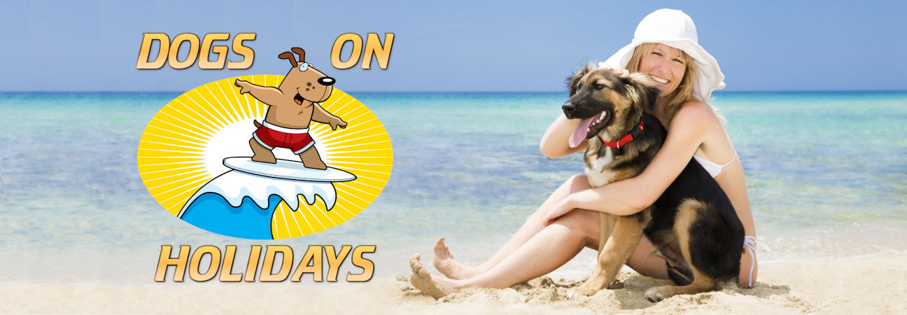 Dogs On Holidays