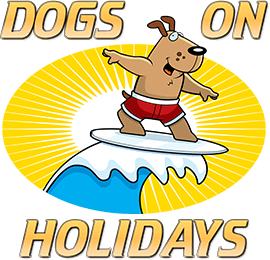 big dog friendly hotels