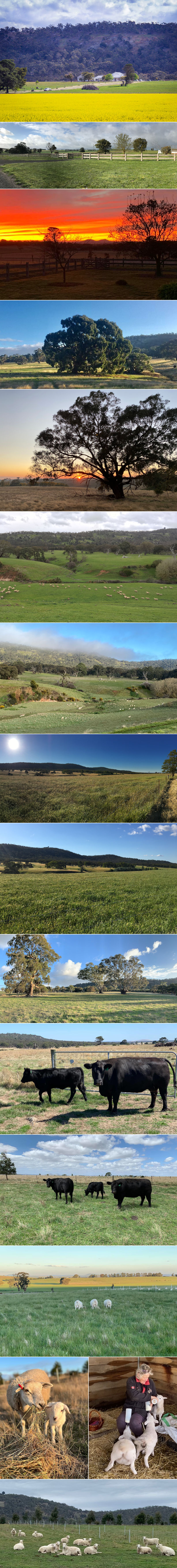 Beckworth Retreat - The farm