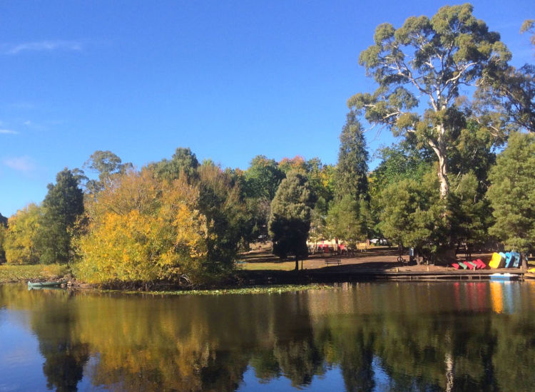 Jubilee Lake Holiday Park, Daylesford