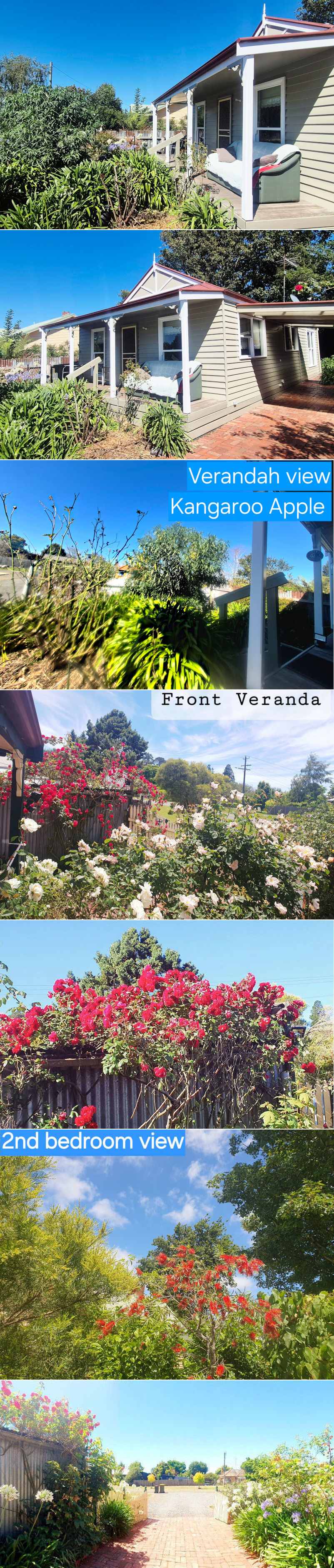 Abelia Cottage - Outside