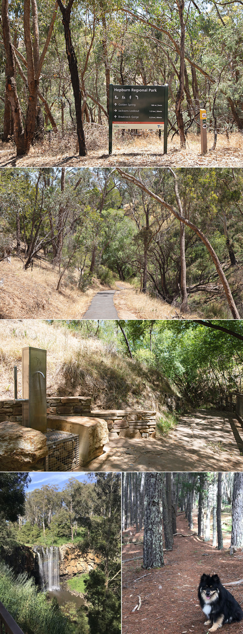 Spring Creek Cottage - Walking tracks and mineral springs