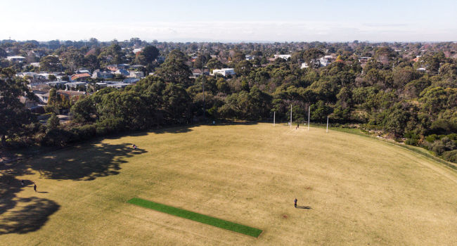 Donald MacDonald Reserve dog off-leash park