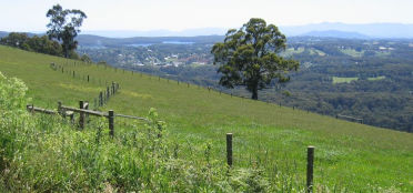 Dandenong Ranges off-leash dog parks