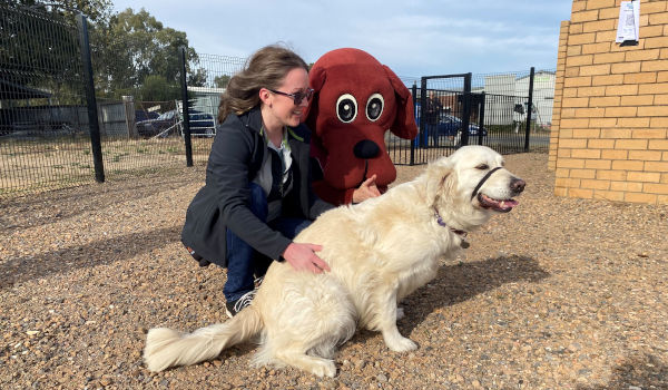 Euroa Dog Park dog off-lead park
