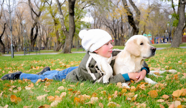 Dog in a park