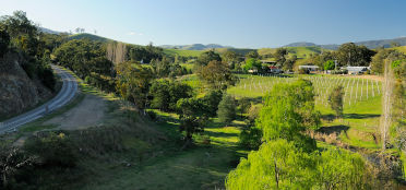 Gippsland off-leash dog parks