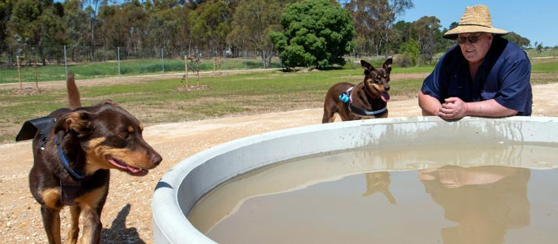 Heathcote Dog Park dog off-lead park