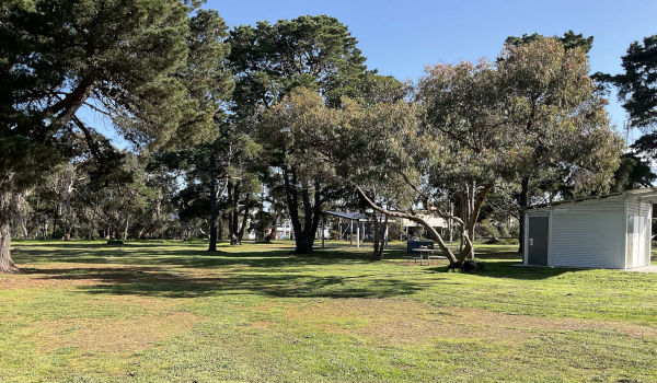 Kingston Park dog off-leash park