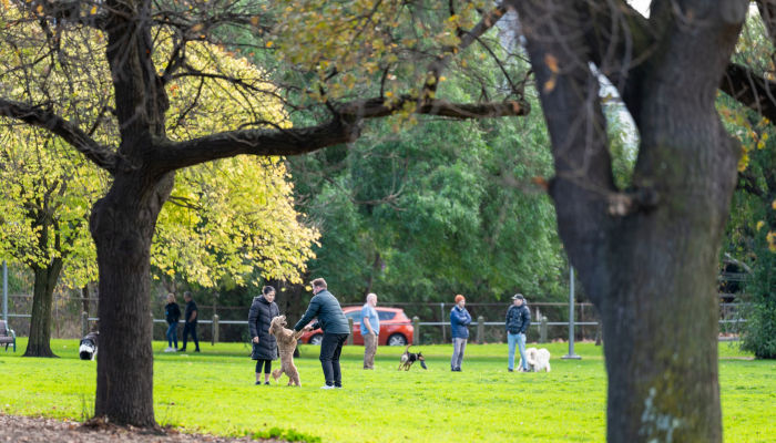 Barkly Gardens dog off-leash park