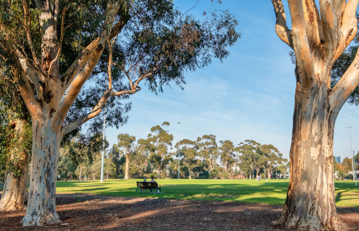 Burnley Park dog off-leash park
