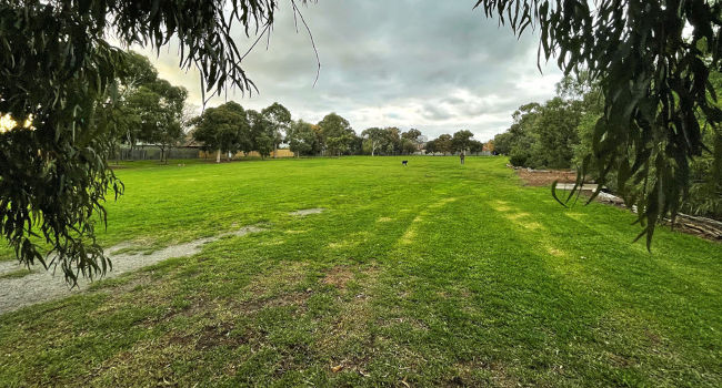Merindah Park dog off-leash park