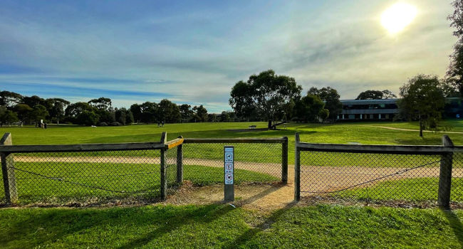 Royal Avenue Park dog off-leash park