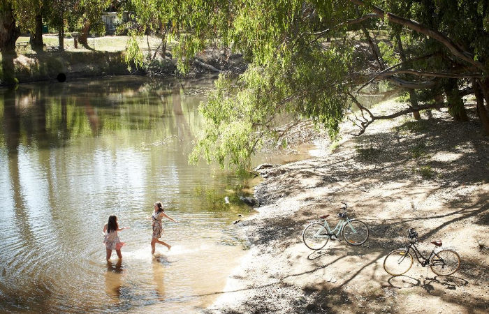 Northern Beaches dog off-leash park