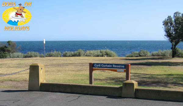 Cyril Curtain Reserve dog off-lead park