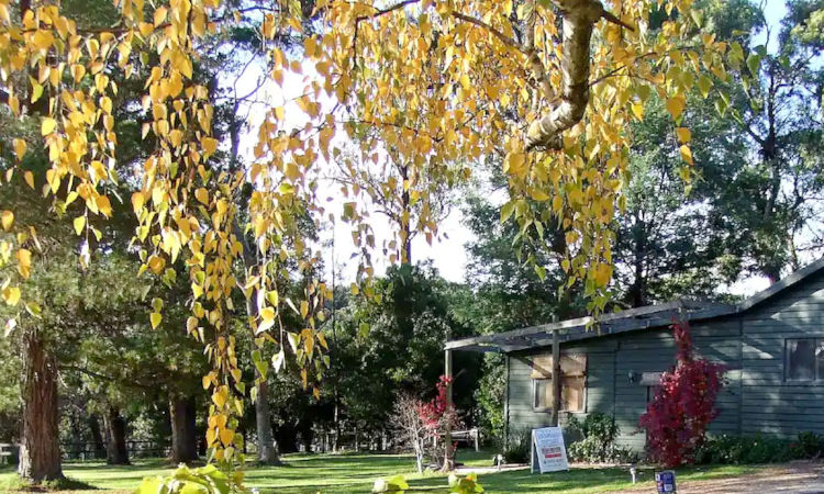 Redwoods Cottage, Healesville