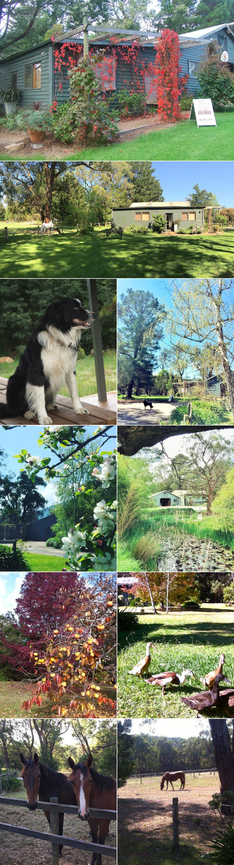 Redwoods Cottage - Outside
